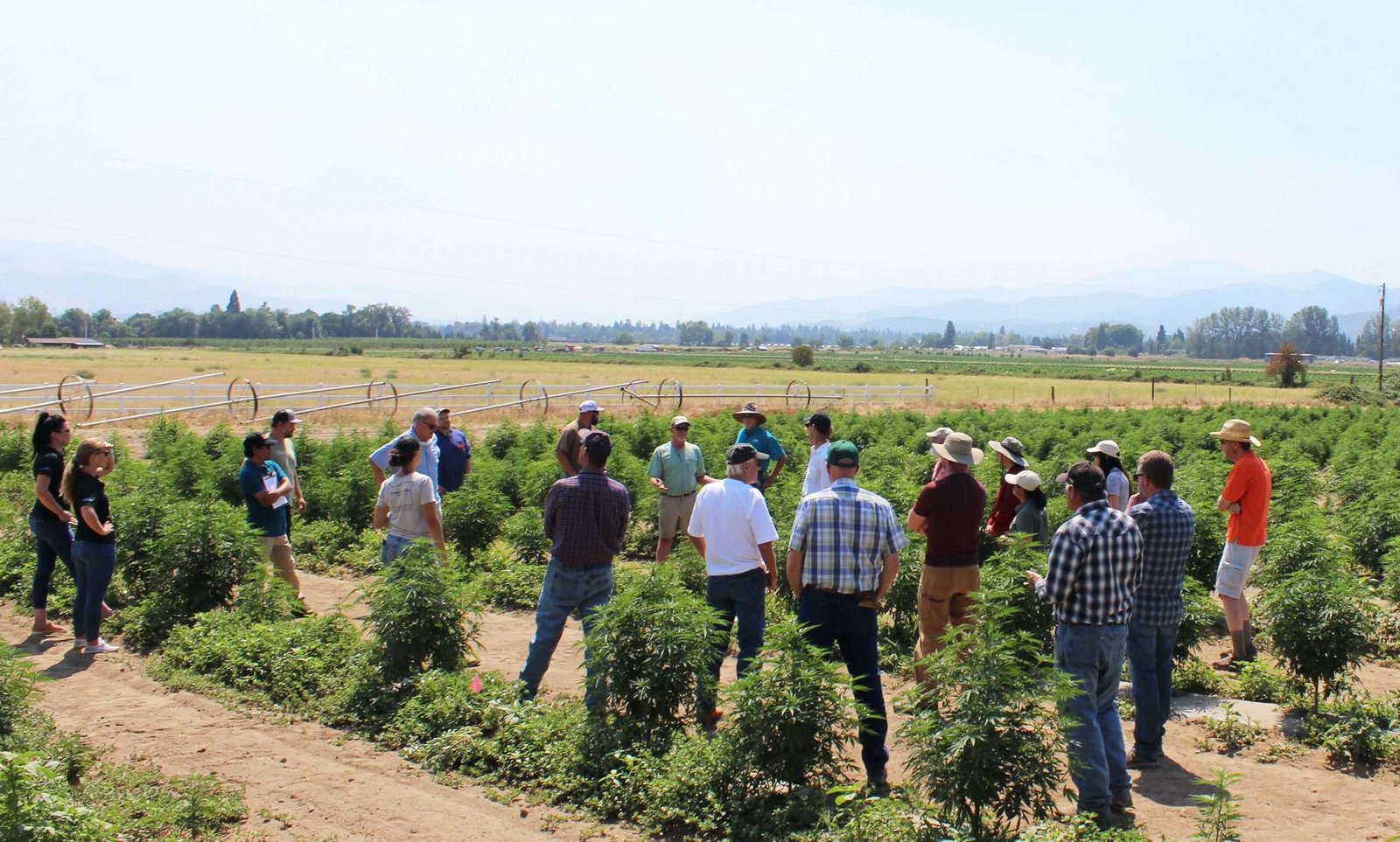 CBD Farm Tour