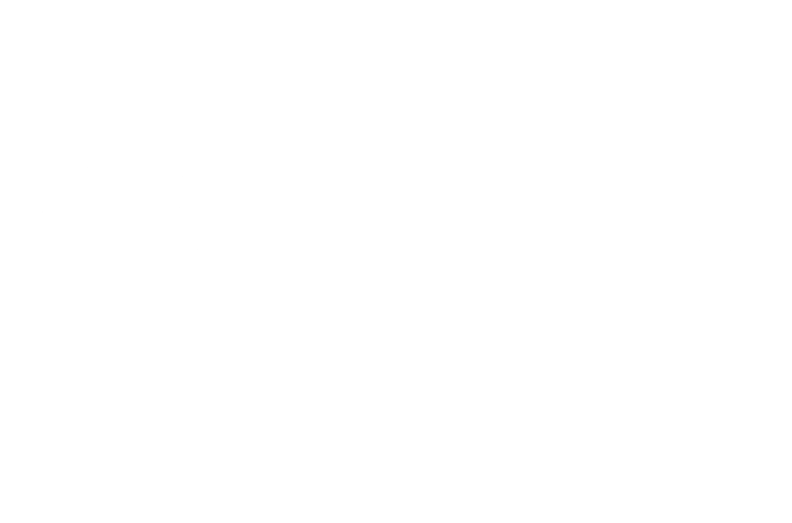 Our Partner