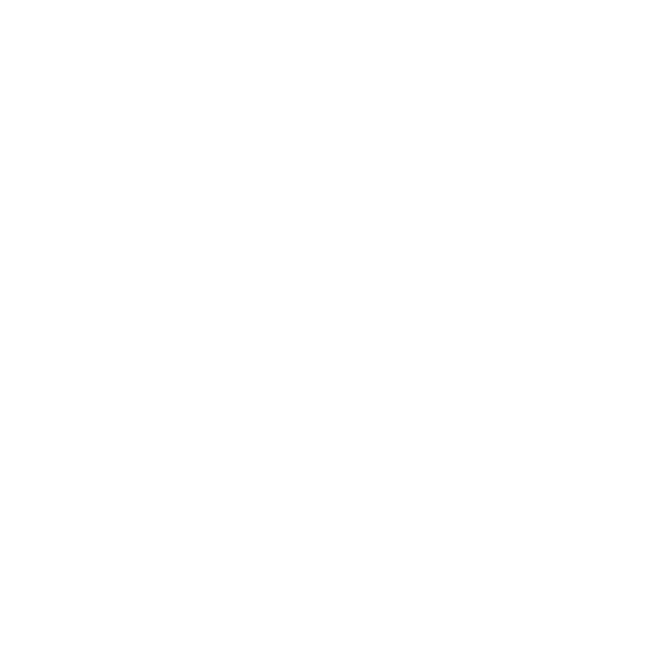 Our Partner