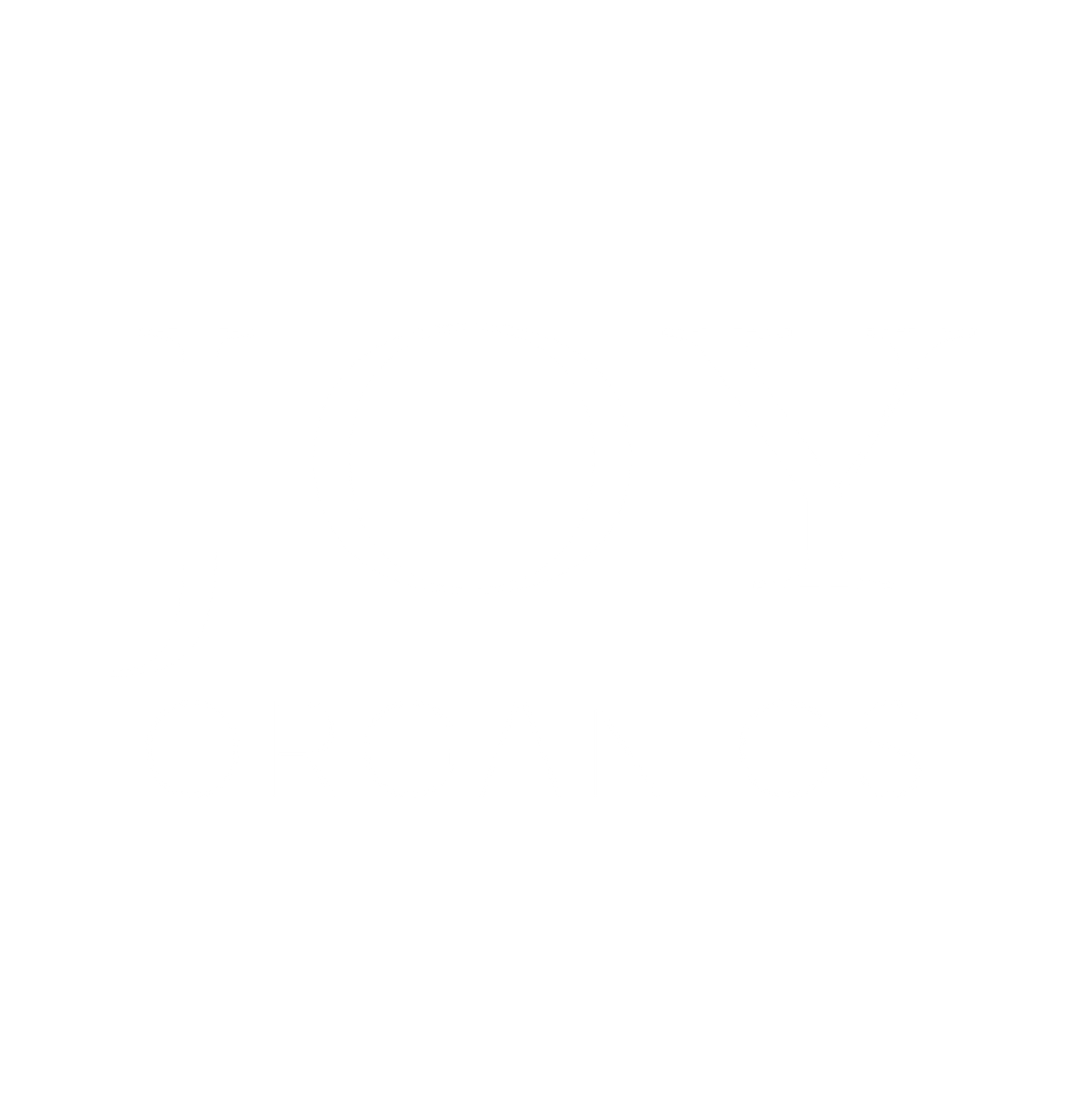 Our Partner