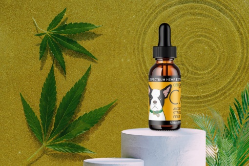 CBD Dog Health Calm Oil