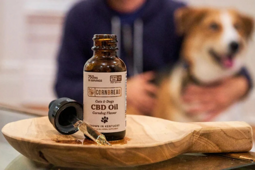 Cornbread Dog CBD